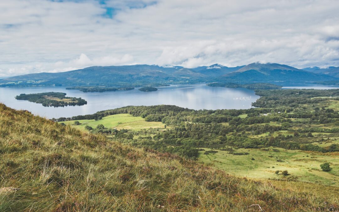 Lodges for Sale Loch Lomond: Everything You Need to Know About the Local Area
