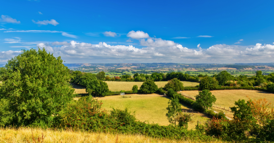 somerset countryside