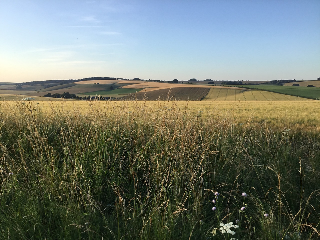 Wiltshire countryside