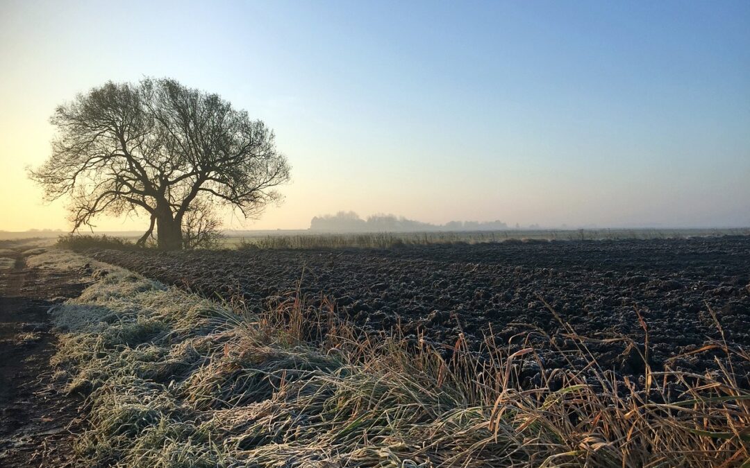 Laceby Manor Resort in Lincolnshire