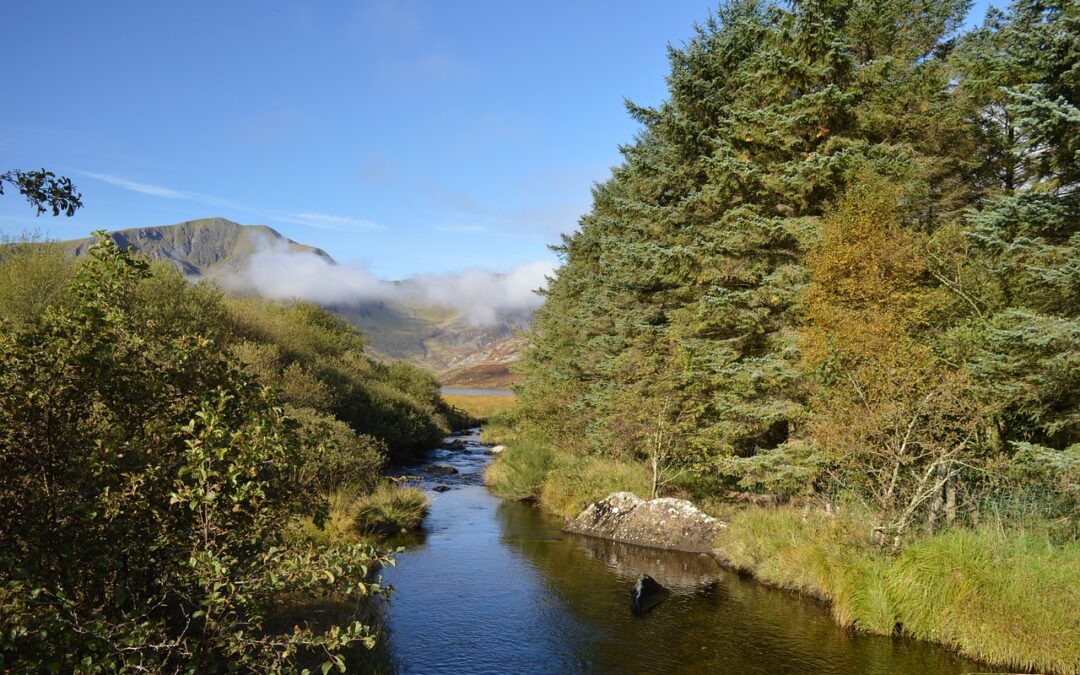 Discover Relaxation at Aberconwy Resort and Spa in North Wales