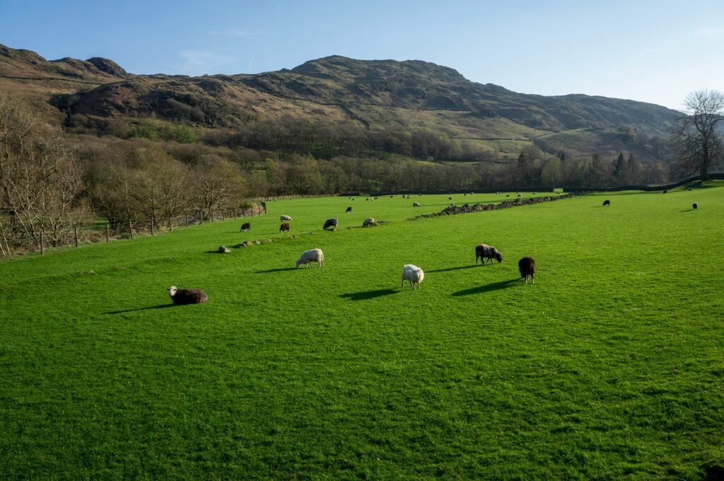 Log Cabin Lake District