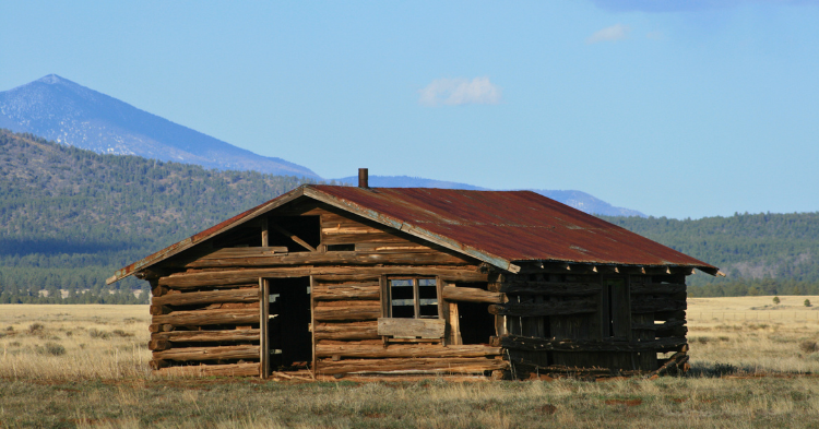 maintaining a log cabin