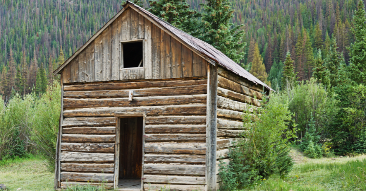 eco cabins