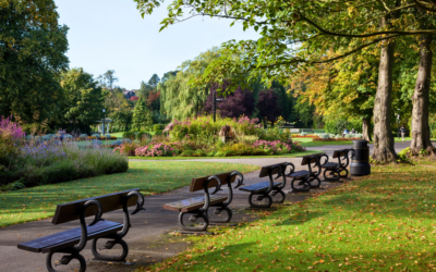 Hidden Lodge Gem in Harrogate