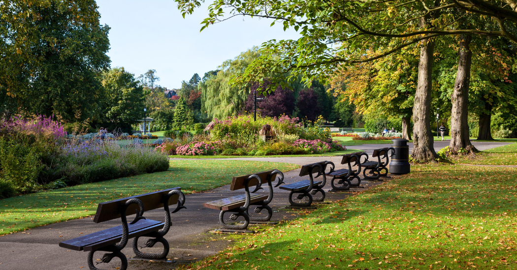 Hidden Lodge Gem in Harrogate