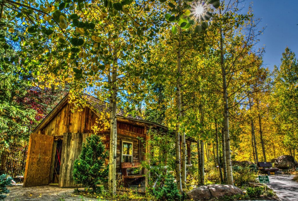 log cabin sale