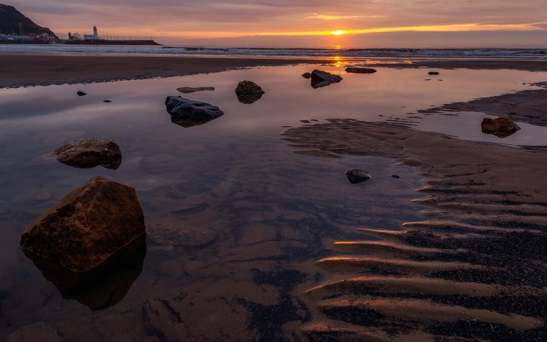 The Best of The Bay Filey: Your Perfect Yorkshire Retreat