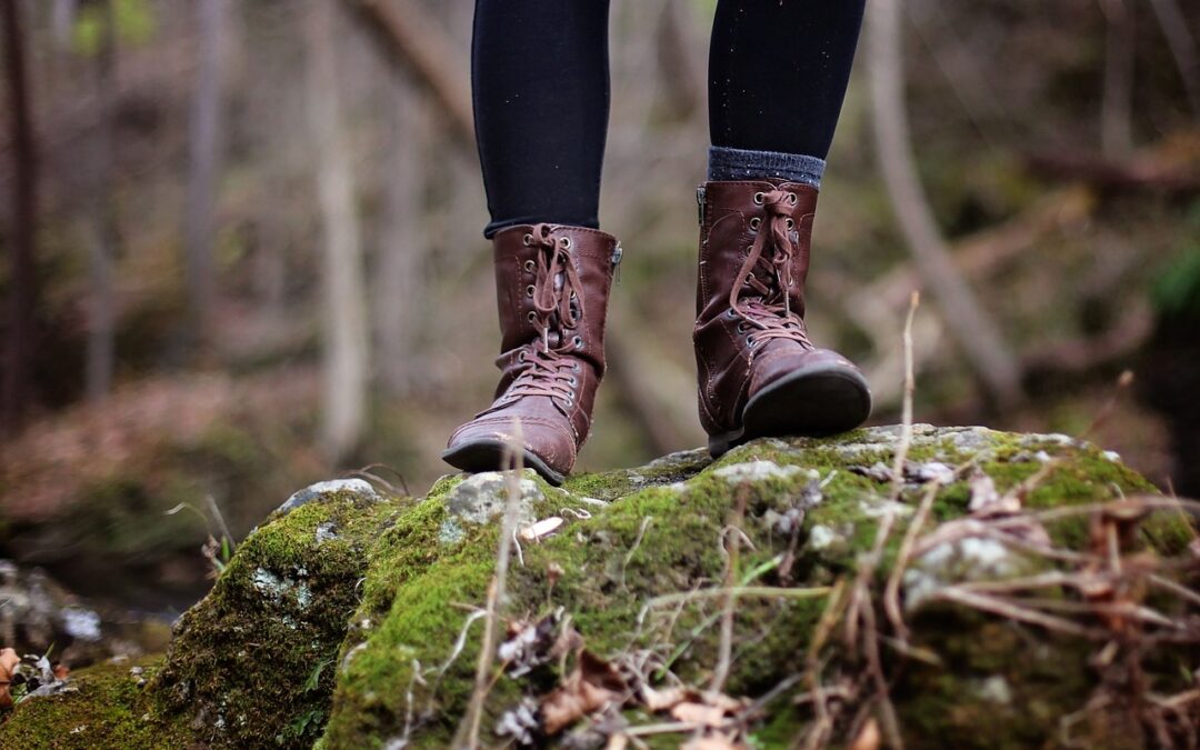 Top Walking Routes for Exploring Tal y Fan in North Wales