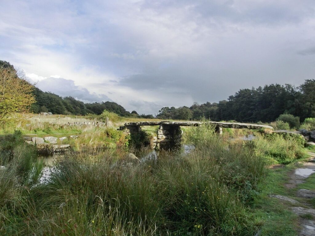 dartmoor view