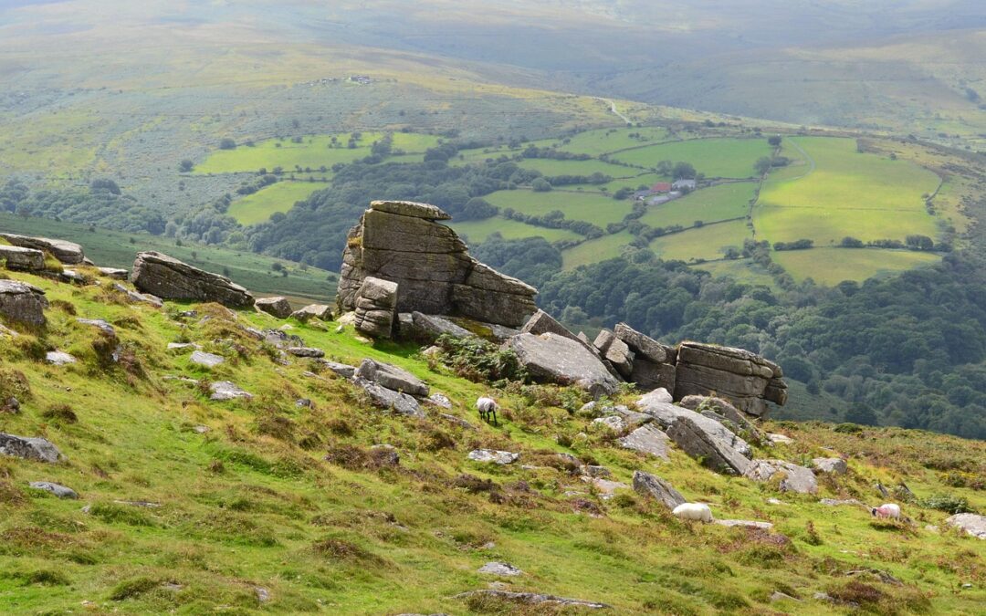 Your Guide to Scenic Escapes at Dartmoor View