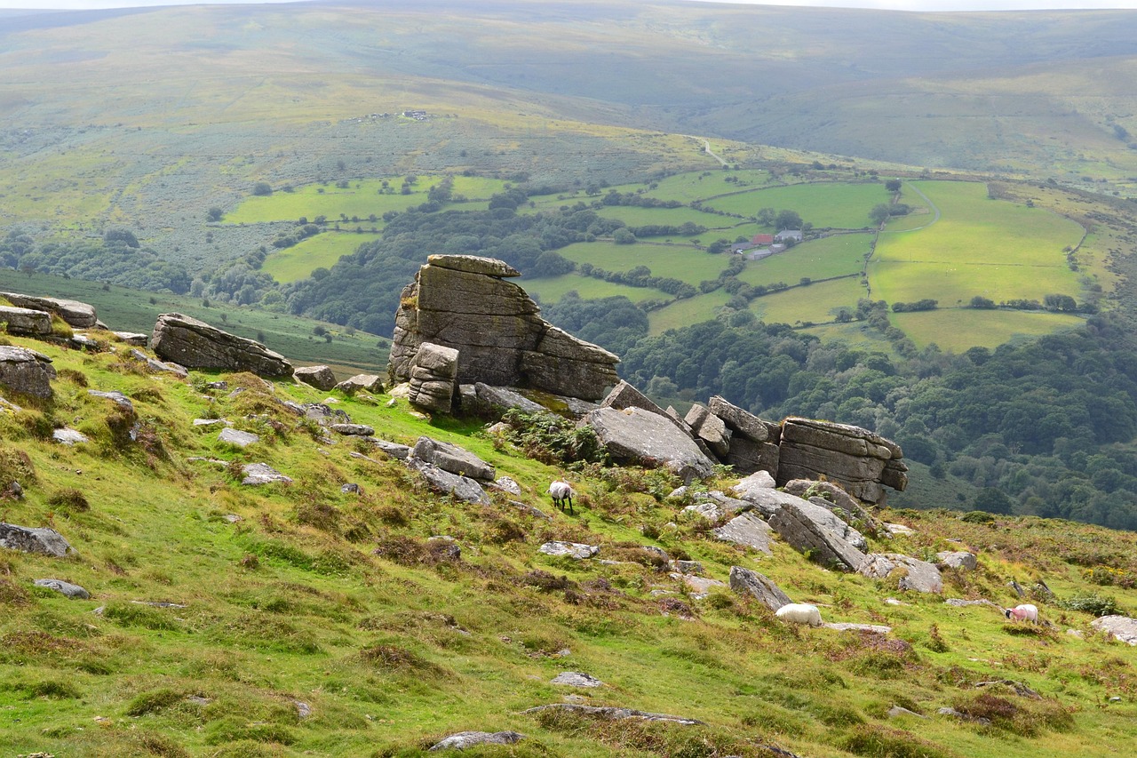 dartmoor view