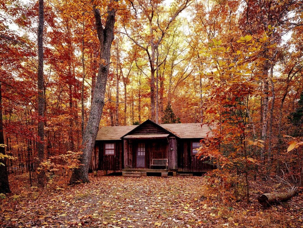 Sited Log Cabins for Sale UK