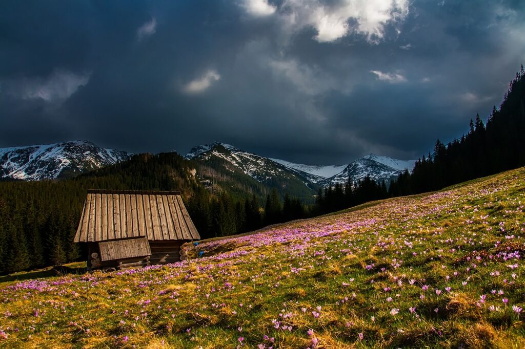 Sited Log Cabins for Sale UK