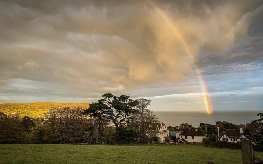 Explore Affordable Holiday Homes for Sale in Devon Today